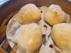 -新兴·金羊座·粤菜点心(乐峰店)