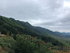 -塔川景区
