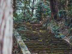 -都江堰普照寺