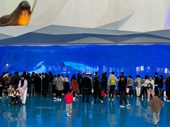 -泉城欧乐堡海洋极地世界