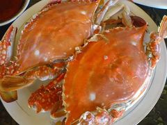 -渔家小院观海海肠捞饭地方菜(环海中路店)