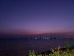 -宝安西湾红树林湿地公园