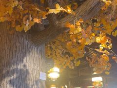 -蓉城老妈火锅(双林路店)