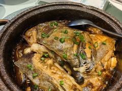 -海派美食·家宴海鲜青岛菜·石锅鲽鱼头(东方城店)