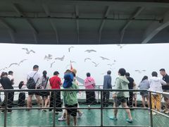 -海驴岛(荣成市)
