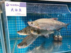 -胖姐渔村(中源大道店)