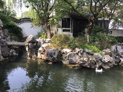 -巡塘古镇