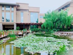 -昆明洲际酒店