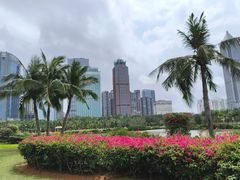 -万绿园