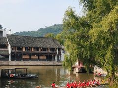-鲁镇