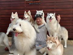 -TrueLove @ Neverland (Husky Cafe)