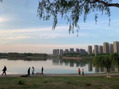 -丁香湖公园
