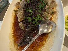 -南麓·浙里(外滩店)