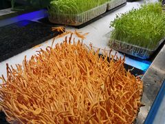 -V-ONE西雅图海鲜自助餐厅(仓山万达广场店)