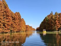 -上海海湾国家森林公园