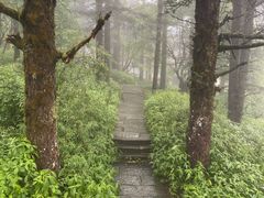 -峨眉山风景名胜区