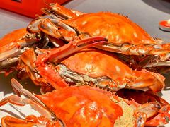 -渔民船说·北塘海鲜·天津菜·海肠捞饭(北塘古镇店)