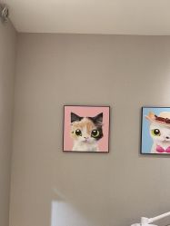 -洗脸猫·洗脸吧