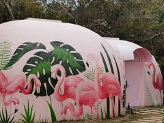 -漳州滨海火山岛自然生态风景区