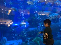 -成都浩海立方海洋公园