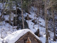 -峡谷浮石林景区