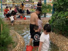 -麻涌飞鸭开心农场