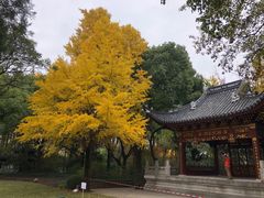 -汇龙潭