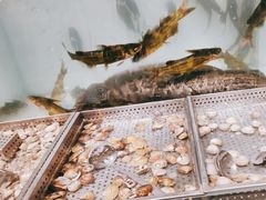 -金滏山烤肉·海鲜·火锅自助餐厅(襄阳万达店)