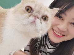 -飞行喵MR PILOT|猫舍·猫咖(静安大融城店)