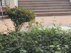 -良木缘咖啡西餐(川大店)
