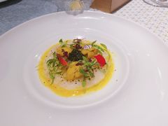 -蝶舍·MAISON PAPILLON