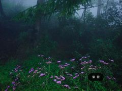 -白草畔自然风景区