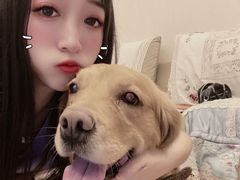 -小河公主秘制烤羊腿(小绿谷店)