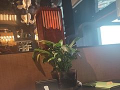 -唐猫庭院·千年陕菜(赛格国际购物中心店)