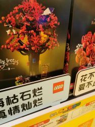 -乐高授权专卖店(朝阳大悦城店)