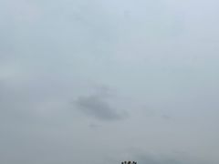 -凤凰欢乐大世界