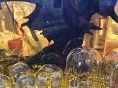 -Rabbit Cafe私房西餐甜点咖啡(栖霞路店)