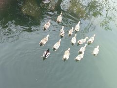 -上海怡沁园度假酒店