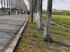 -嘉北郊野公园