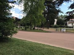 -金头公园
