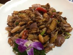 -陶缘一号·四季缘·老字号顺德菜·户外婚礼家宴(西滘店)