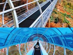 -盈香心动乐园