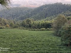 -敬亭山风景名胜区