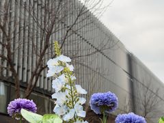 -北京北辰洲际酒店