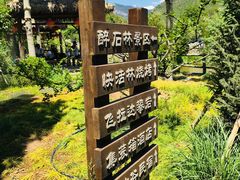 -幽岚山·童话森林