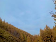-苏木山森林公园