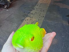 -永安鱼庄·镇江菜(东吴路店)