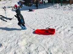 -太子岭滑雪场