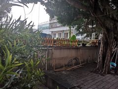 -椿风·养身茶饮(吉大店)