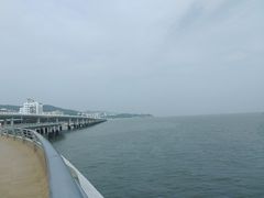 -演武大桥观景平台